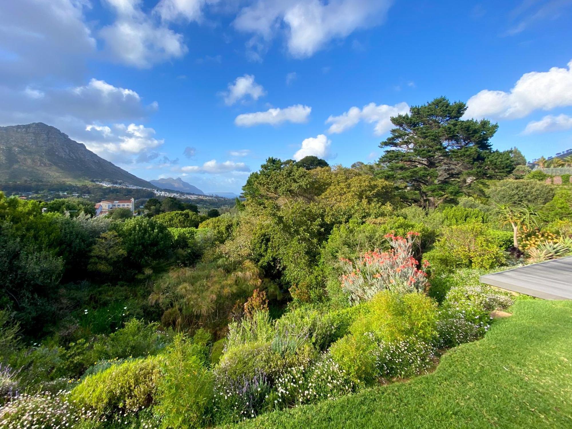 Luxe Family Home With Solar Power In Secure Hout Bay Estate Le Cap Extérieur photo